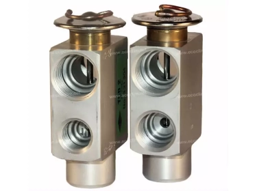 Detendeur OEM A VISSER | 253260109 - 6228380 - 6258381 - 64511372503 - F395550050160 |