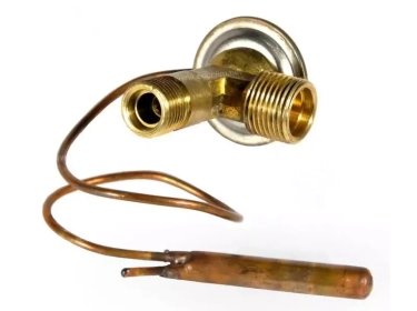 Expansieventiel Origineel ORING | 38650SA5661 |