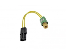 Druckschalter OEM CIRCUIT BP - FEMELLE