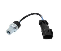 Drukschakellaar Origineel PRESSOSTAT LANDINI