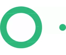 Mangueiras e selos Selo ORING JOINT VL