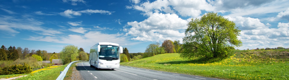 Metier lie au transport en commun - bus